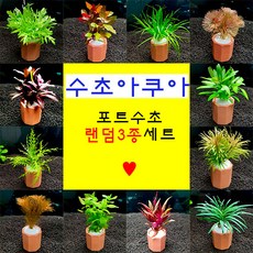 3bcd6c480a41cba061d598b967a42a01d7dd30032003e9c1c5608266bf3e.jpg