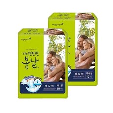 깨끗한나라 더편안한봄날 특대형 10매 2팩 성인기저귀