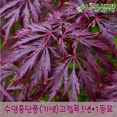 5c928e827cdea89e4bb6bc25b28ceba61d2264bdfd67b10e0391a18f668e.jpg