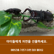 c38fa8d2907a28eaa2c4c05069cc1071bbf82301461b901c1fb0db725b9f.png