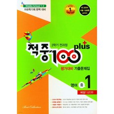 적중100기출