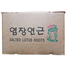 유성물산 유성 중 사이즈 염장 연근채 16Kg 이강산닷컴, 1개