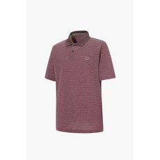 KOLON 코오롱스포츠스포츠 남성 선염 스트라이프 폴로 티셔츠 TLTCM23511BRW