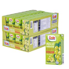 Dole 머스캣 파라다이스 주스 120ml x 32개 x 2박스, 상세페이지 참조