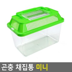 뮤지컬토이오케스트라