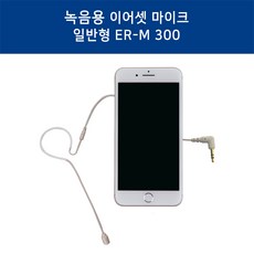 더씽m300