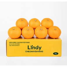 린디 고당도 천혜향 GAP AI당도선별 제주 만감 2KG 3KG 5KG 9KG 선물세트, 1박스, 올레길 천혜향=가정형, 중량=3kg 소과(15~18입)