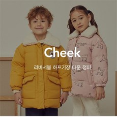 ckjd21t1b
