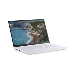 LG 그램 노트북 14인치 인텔 i5 8세대 gram 14ZB990, WIN10, 16GB, 512GB, 코어i5, 화이트