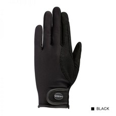 제주승마레슨비용