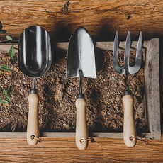 캐논rf5.2카메라렌탈