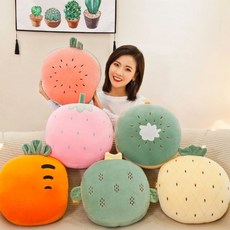 과일쿠션무릎담요