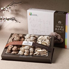 [설선물] 강원도 설악산 마수아 혼합 버섯 세트 3호 (백화고 흑화고 표고버섯 절편), 1개