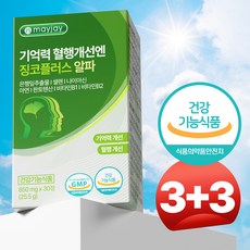 징코 플러스 은행잎 추출물 식약청인증 기억력 혈행 개선 메이제이