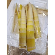 완도 해풍맞은 삶은죽순 1kg 24년 햇죽순요리 볶음, 1개