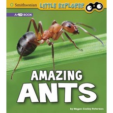 Amazing Ants: A 4D Book Hardcover, Pebble Books