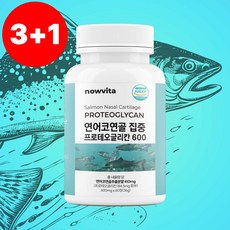 나우비타 프리미엄 고함량 활성 프로테오글리칸 3+1개 연어코연골 PROTEOGLYCAN 프로테오클리칸 프리테오글리칸 600mg HACCP인증, 4개, 60정