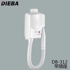 바디드라이어내돈내산