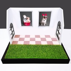  [사진출력서비스] 강아지 고양이 추억보관함, 1개 