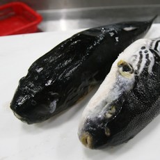 까치복