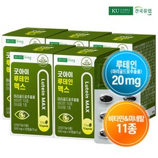 굿아이루테인지아잔틴