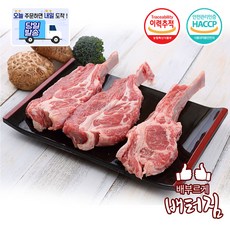 (당일출돼지) 캠핑가자 숙성 냉장 양숄더랙 세트, 1개, 냉장 양숄더랙500g(쯔란,솔트증정)
