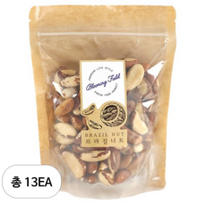 그린너트 브라질 너트, 500g, 13개