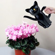 메이호 고양이 물뿌리개/물조리개 (블랙)