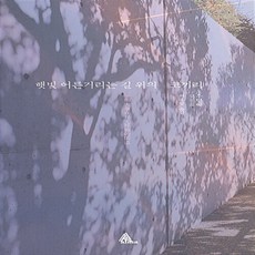 햇빛어른거리는길위의코끼리 TOP01