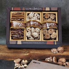 친환경팔도 영동 표고영지세트450g (표고버섯선물세트), 1세트