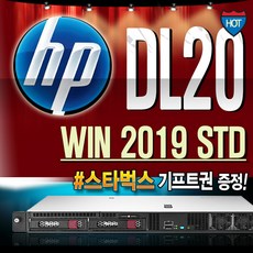DL20 G10 (E-2224 64GB 2TBx2 WIN2019 STD) 서버 HP