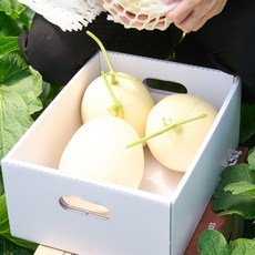 천안 수신멜론 홈런스타