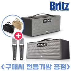 브리츠 BZ-NE280K [구매시 전용 가방 증정] 블루투스 가라오케 스피커 무선 마이크 포함