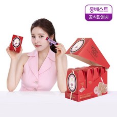 몽베스트 블랜딩 콤부차 타트체리베리 (40스틱포), 5g, 10개입, 4개