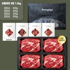 [섬고기] 명품 숙성 암소한우 1등급 꽃등심 선물세트 9호 1.2kg, 1개