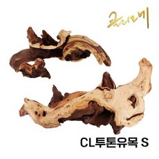 CL 투톤유목(S) 20~30cm, 1개