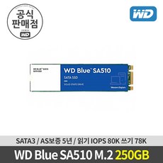 [공식판매점] WD BLUE SA510 M.2 SATA SSD 250GB