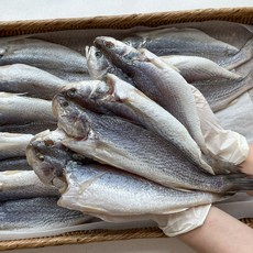 농가살리기 반건조 민어조기 민어 생선 골라담기, 30개