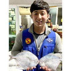 신안 임자 지도병어 중/소 사이즈 병어 20마리 (200g내외) 병어 덕자병어 병치 병어회