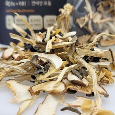 버섯마루 버섯그대로 5종 말린 모듬 버섯, 48g(8개입), 1개