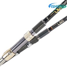 js컴퍼니갈치대