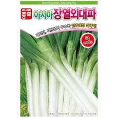 A-아시아장열외대파 80g 파씨 파종자 파씨앗, 1개