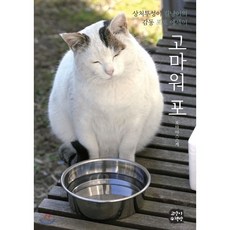 고양이에세이