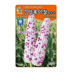 제일종묘 옥수수씨앗 제일알록이찰옥수수 150립