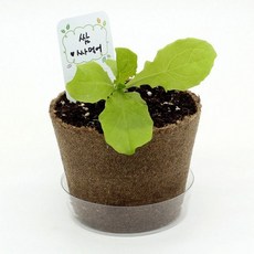 팜팜농장관찰일지