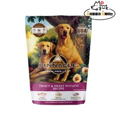 애견과함께하는페라글라이딩