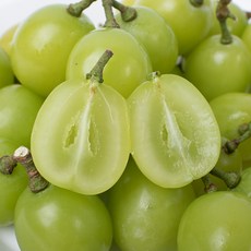 (자연마을) GAP저탄소 고당도 샤인머스켓, 1개, 샤인머스켓 500g 1송이