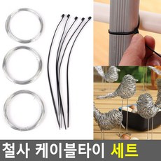 타이정리기