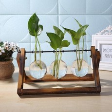 수경재배벽걸이화분