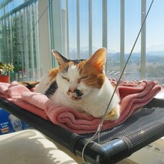강력흡착 고양이창틀해먹 1단 고양이 윈도우 창문해먹 만들기, 질긴 퀼트매트담요, 1개